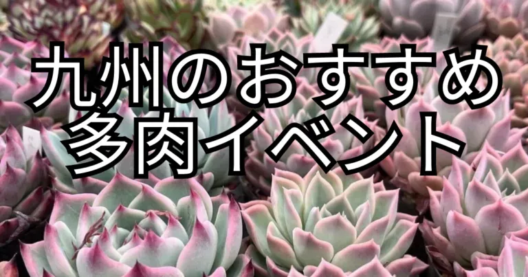 多肉植物 イベント 2024 5月 関東近郊で開催！【驚異的】魅力あふれる人気イベント完全ガイド